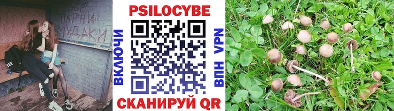 Купить где  Калининград  Галлюциногенные грибы прущие грибы 